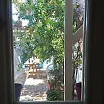 Sardunya