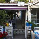 B&B Sardunya