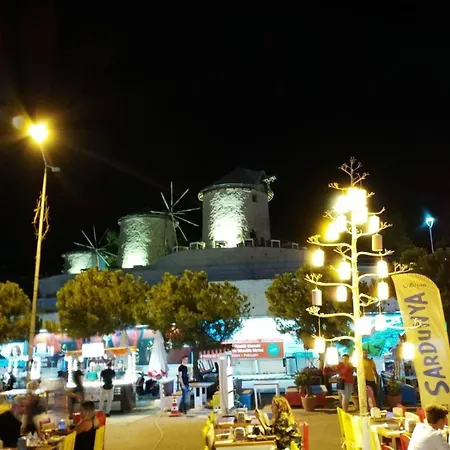 B&B Sardunya