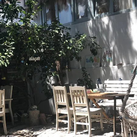 阿拉恰特萨度亚住宿加早餐旅馆 4*