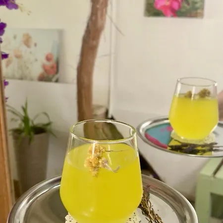 Sardunya B&B