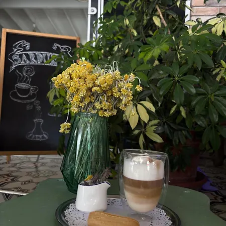 阿拉恰特萨度亚住宿加早餐旅馆 住宿加早餐酒店 4*