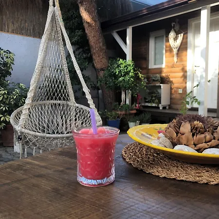阿拉恰特萨度亚住宿加早餐旅馆 住宿加早餐酒店