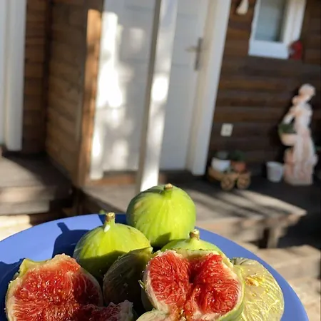 阿拉恰特萨度亚住宿加早餐旅馆 4* 阿拉恰特