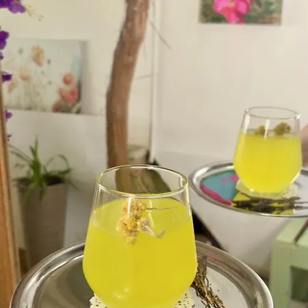 阿拉恰特萨度亚住宿加早餐旅馆 4*