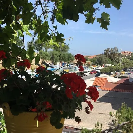 Alojamento de Acomodação e Pequeno-almoço Sardunya