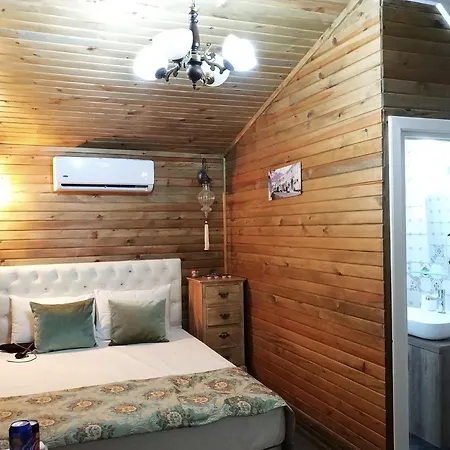阿拉恰特萨度亚住宿加早餐旅馆